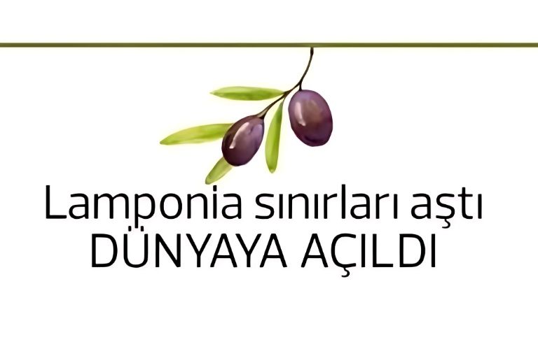 Basında Biz
