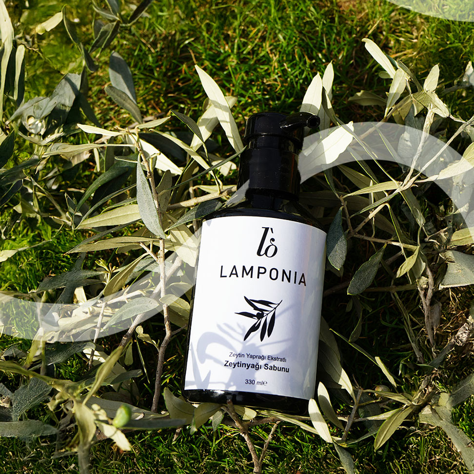 Zeytin Yaprağı Ekstraktlı Zeytinyağlı Sıvı El Sabunu